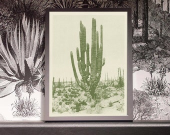 Cactus Art, Cactus Print, Cactus Poster, Cactus Wall Art, Succulent Print, Large Cactus, Southwest Cactus, Antique cactus, Hipster Cactus