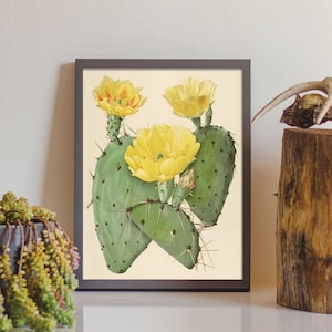 Flowering Cactus Print, Succulent Print, Succulent Art, Desert Botanical Print, Cactus Art, Cactus wall art, Southwestern Wall Decor