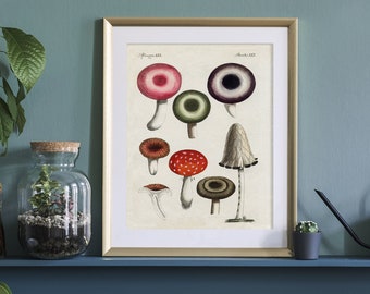 Art mural champignon, art champignon, champignon victorien antique, art de la cuisine, art fin gourmet, ferme, art naturel, déco esthétique cottagecore