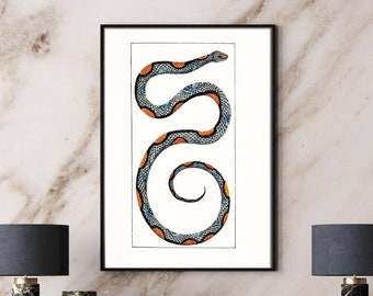 Patterned Decorator Snake Art, Southwest Desert Wall Art Decor, Snake Drawing, Snake Painting Print