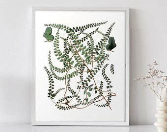 English Cottage Fern Print, Victorian Botanical Specimen Wall Art, Cottagecore Decor, British Farmhouse decor, Plant lover, Light Academia