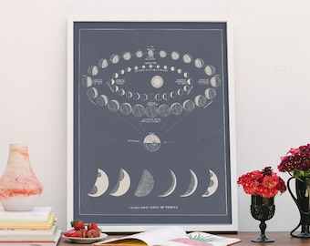 May include: A blue and white vintage style illustration of the phases of Venus. The illustration is framed and hanging on a white wall above a wooden dresser. There are flowers in vases on the dresser.
