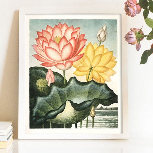 Lotus Flower Nursery Art Gift for Yoga Lover Gift for Etsy