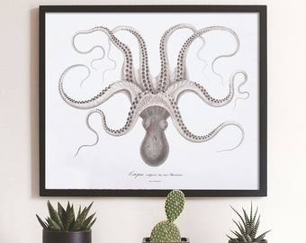 Octopus Art, Octopus Poster, Octopus Print, Giant Octopus Poster, Nautical Decor, Octopus Decor, Nautical Artwork Prints, Octopus Wall Art