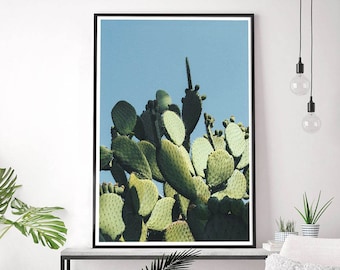 Large Modern Cactus Art Print, Southwest Succulent Desert Decor, Extra Large Wall Decor, Bedroom Decor,  Cactus Decor