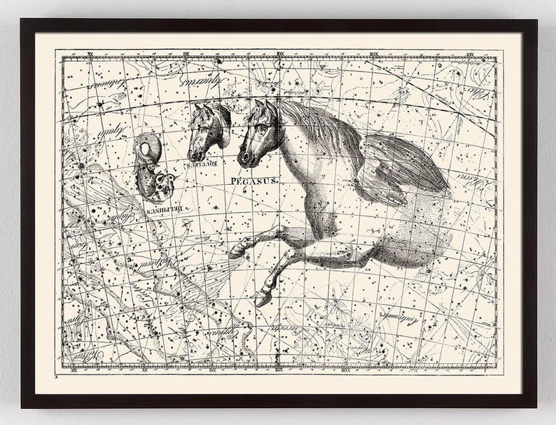 Antique French Pegasus Constellation Map 18th Century, Minimal Winged Horse Star Chart image 1
