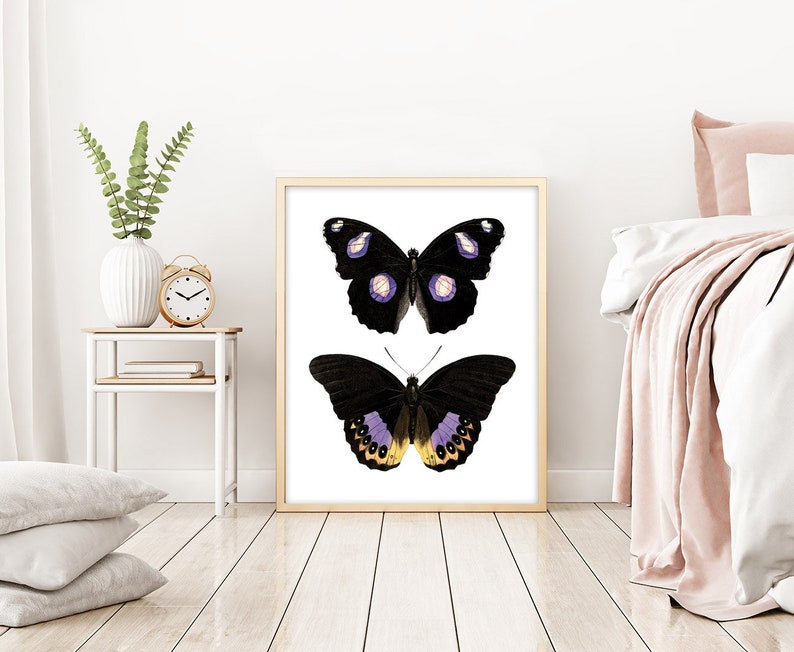 May include: A framed print featuring two black butterflies with purple and yellow accents. The butterflies are depicted against a white background.
