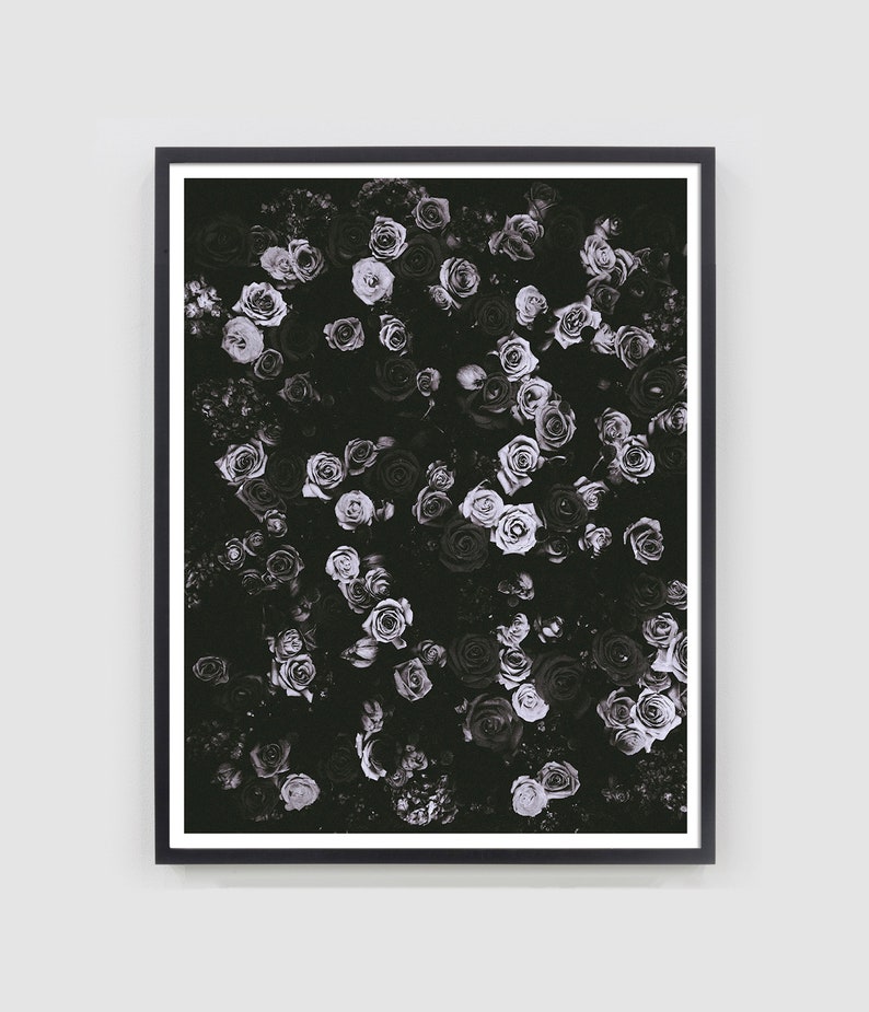 May include: A black and white photograph of a bouquet of roses. The roses are arranged in a dense cluster, with their petals overlapping. The image is in a black frame.
