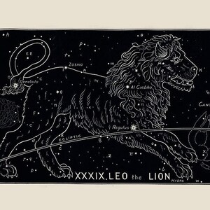 Antique Leo Zodiac Print, 19th Century Astrological Sign Art, Birthday Gift for Leo image 2