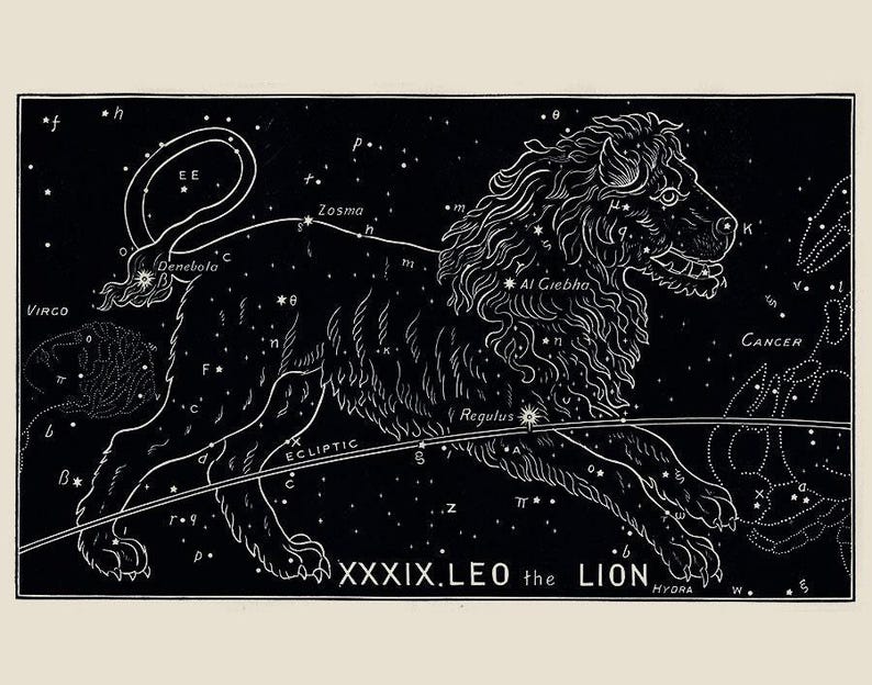 Antique Leo Zodiac Print, 19th Century Astrological Sign Art, Birthday Gift for Leo image 2