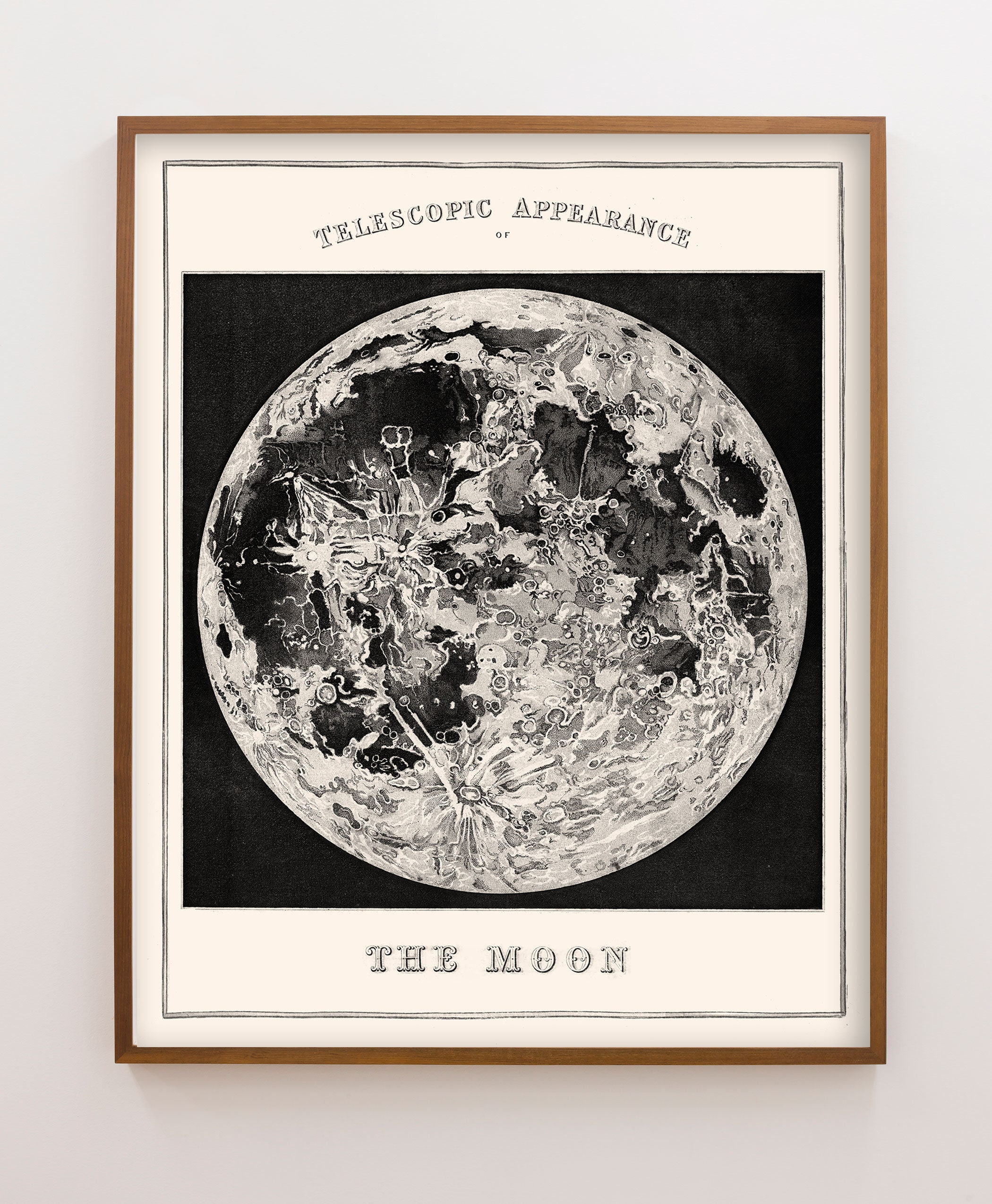 Vintage Moon Print Decor Moon Phases Print Astronomy Poster | Etsy