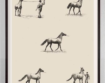 Horse Riding Art, Horse Riding Print, Gift For Horse Rider, Nursery Art with Horse Antique Riding lessons Horse illustration Kids Room Decor