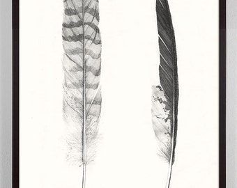 Feathers Art, Antique Feathers, Feather Art Print, Vintage Black and White Feathers Print, feather wall art, southwest, Rustic, Home Decor