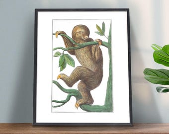 Cute Sloth Gift Art print, Strange Animal Art, Cute Nursery Art, Sloths