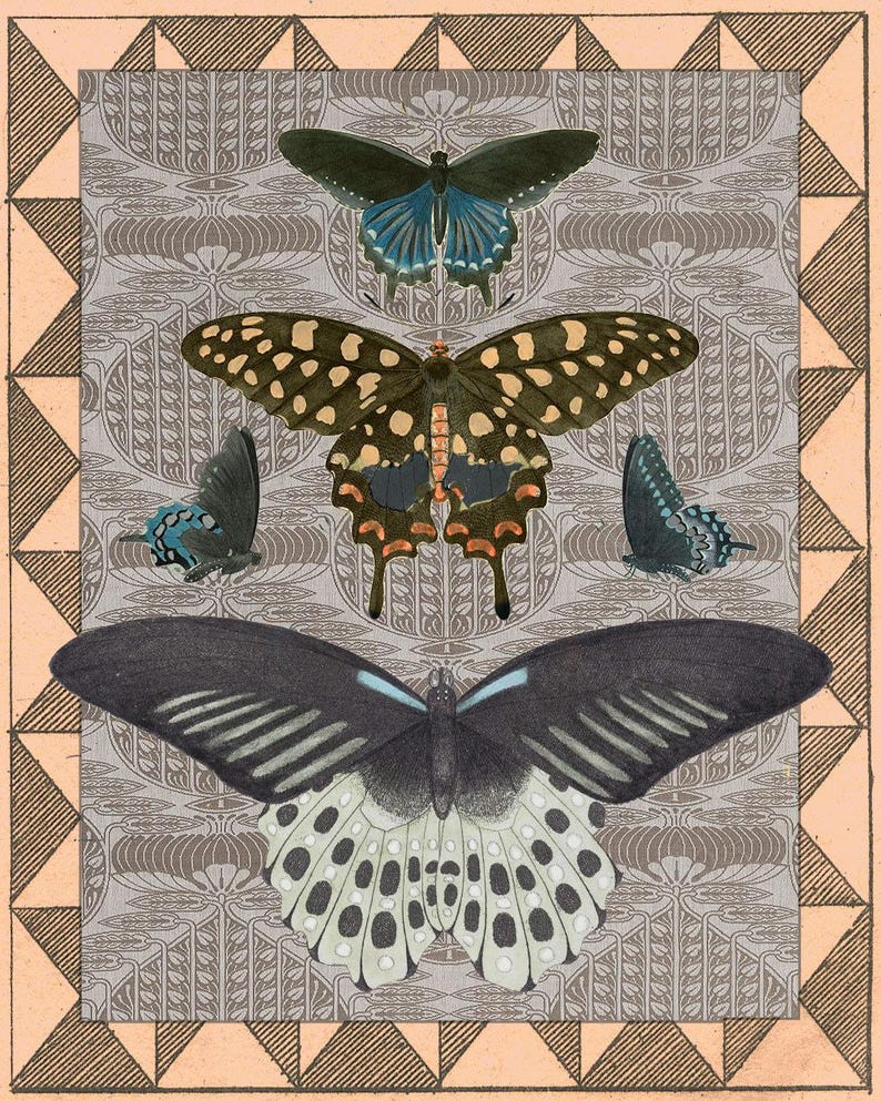 Antique Butterfly Collage Print, Victorian Natural History Art with Patterns, Cottage Wall Decor image 2