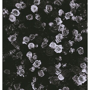May include: A black and white photograph of a bouquet of roses. The roses are arranged in a dense cluster, with their petals overlapping and creating a textured surface. The image is in focus, and the roses are the only subject in the frame.