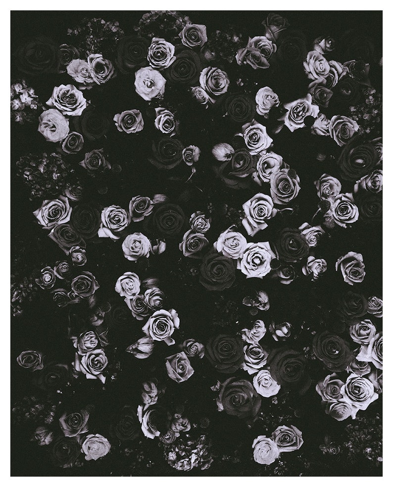 May include: A black and white photograph of a bouquet of roses. The roses are arranged in a dense cluster, with their petals overlapping and creating a textured surface. The image is in focus, and the roses are the only subject in the frame.