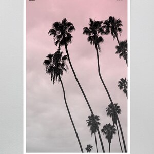 Pink Art, Los Angeles Photography, Beach House Art, Pink coastal wall art Surf Decor, Sunset photography Hollywood Regency, Hollywood Palm image 5