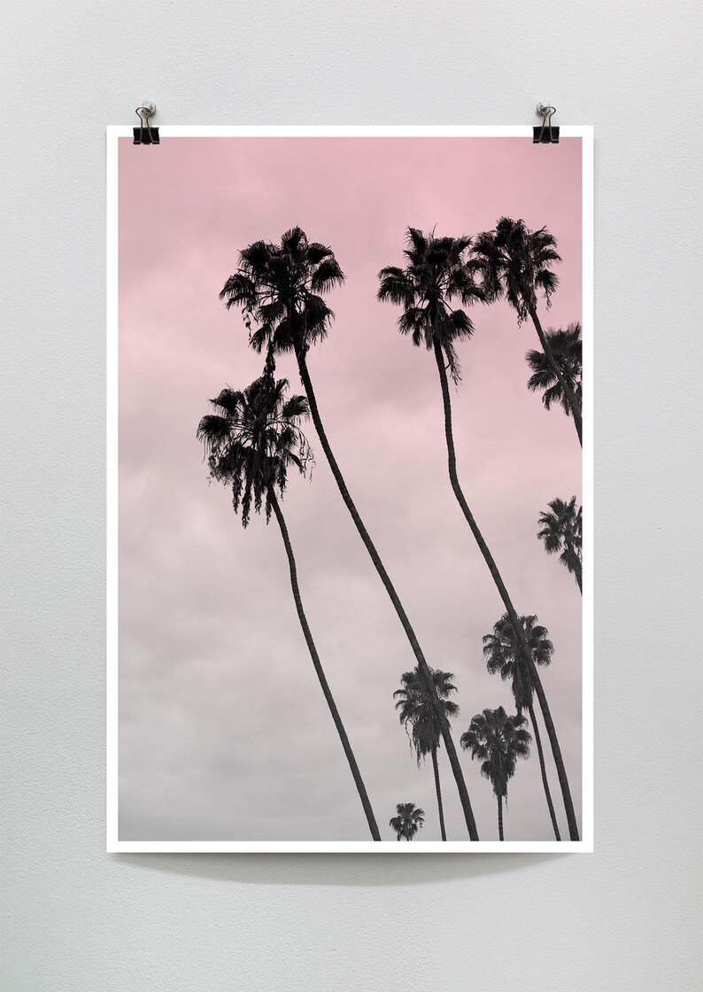 Pink Art, Los Angeles Photography, Beach House Art, Pink coastal wall art Surf Decor, Sunset photography Hollywood Regency, Hollywood Palm image 5