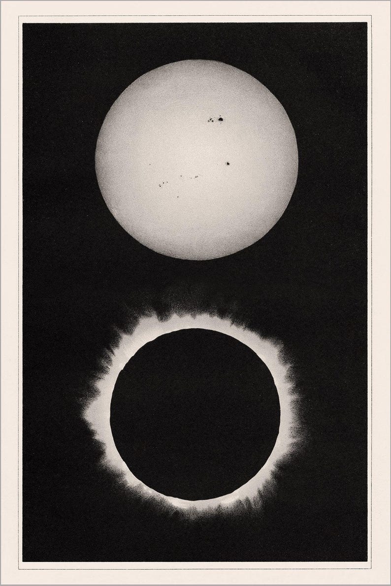 Antique Solar Eclipse Chromolithograph 1896, Large Framed Celestial Art, Victorian Astronomy image 4