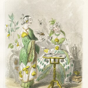 Grandville&#39;s Tea party, Gift for tea Lover, Kitchen print with bees
