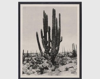 Vintage Cactus Print: Southwest Desert Art in Warm Grey,
