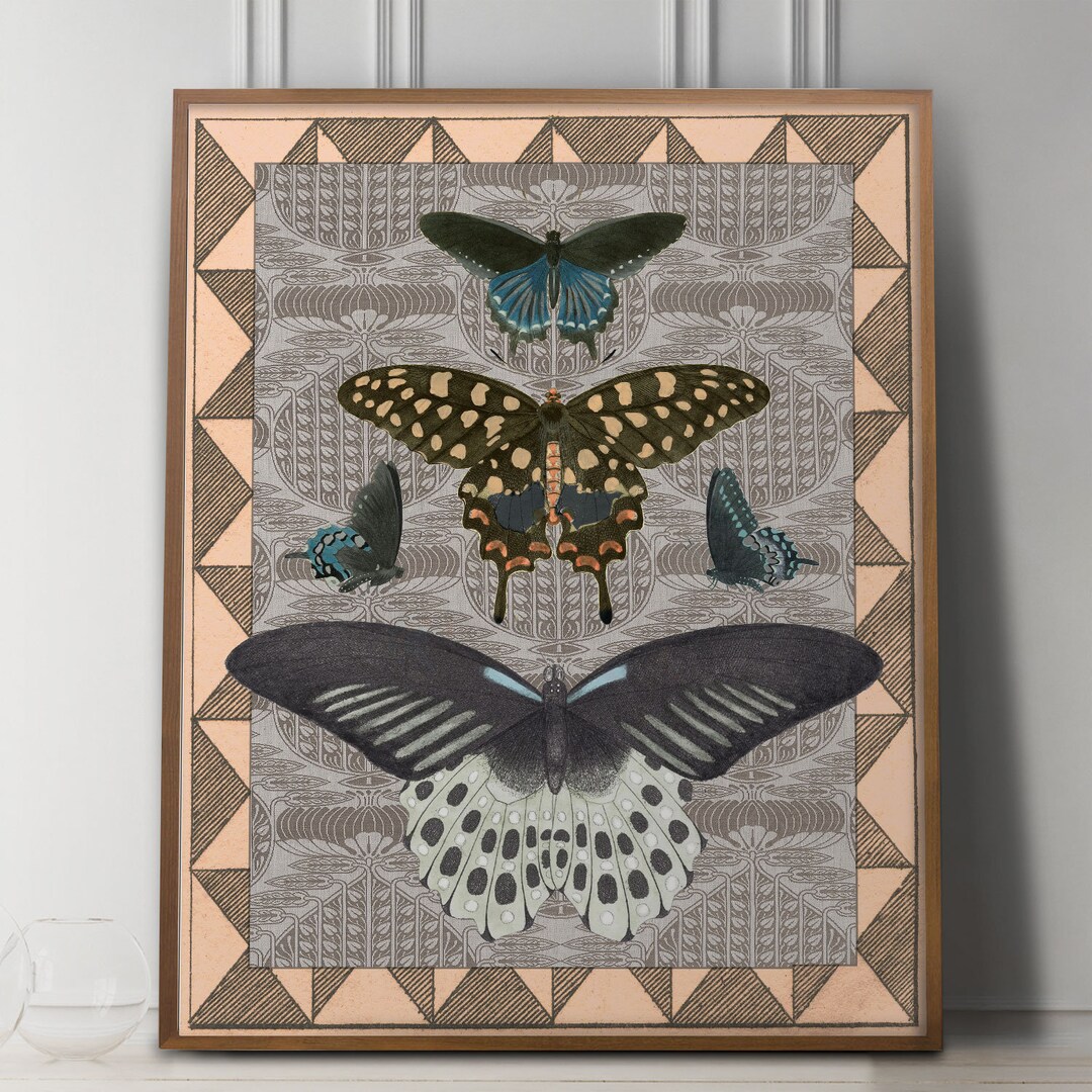 Vintage Butterfly Wall Art Print Natural History Art Art Etsy