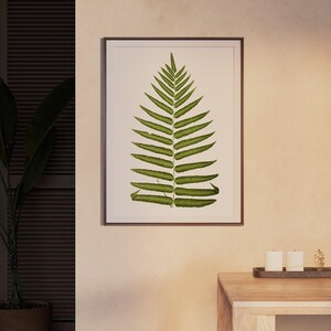 Antique Green Fern Botanical Print, 19th Century Victorian Specimen Art, Cottagecore Home Decor image 3