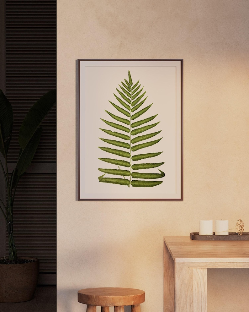 Antique Green Fern Botanical Print, 19th Century Victorian Specimen Art, Cottagecore Home Decor image 3