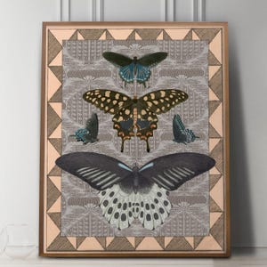 Antique Butterfly Collage Print, Victorian Natural History Art with Patterns, Cottage Wall Decor image 1
