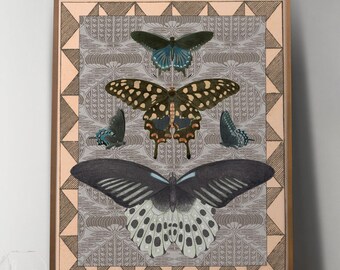 Antique Butterfly Collage Print, Victorian Natural History Art with Patterns, Cottage Wall Decor