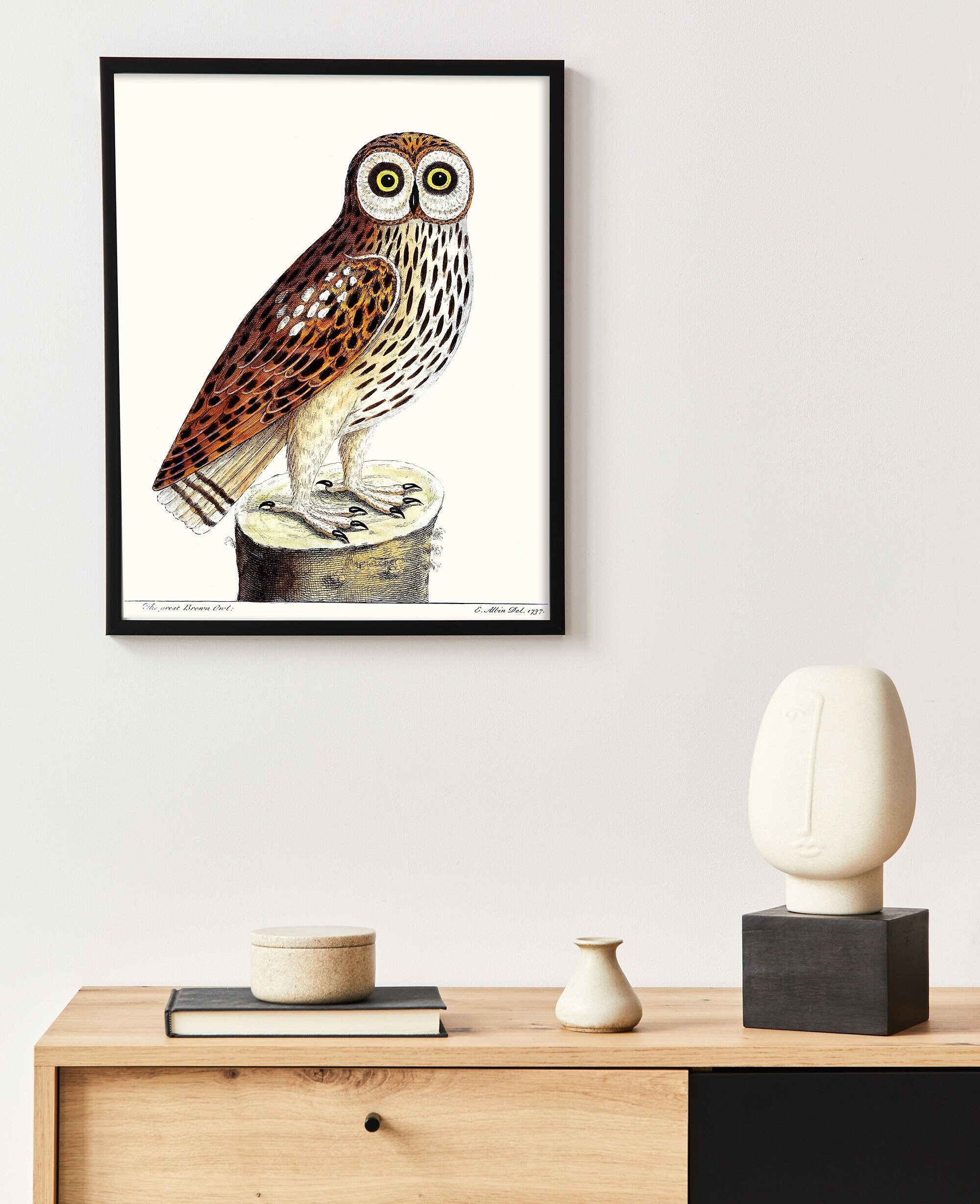 Great Brown Owl drawing, Antique Owl art print, Vintage bird art, woodland owl, vintage camp and cab