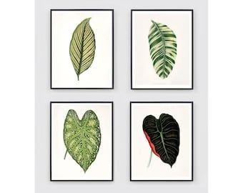 Antique Botanical Print Set of 4, Vintage Specimen Art, Gallery Wall Botanical Decor