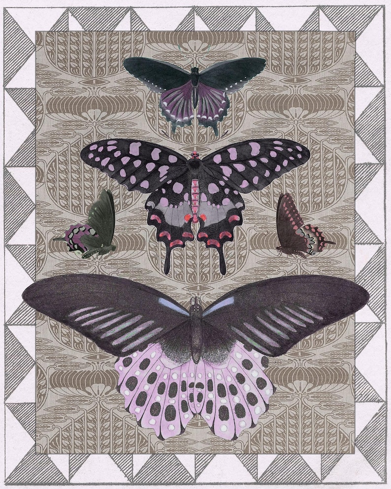 Antique Butterfly Collage Print, Victorian Natural History Art with Patterns, Cottage Wall Decor image 4