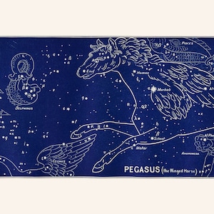 Constellation de Pégase, cheval ailé, gravure ancienne, zodiaque, signe astrologique vintage. Noir, bleu, impression antique, décoration murale, dessin au trait