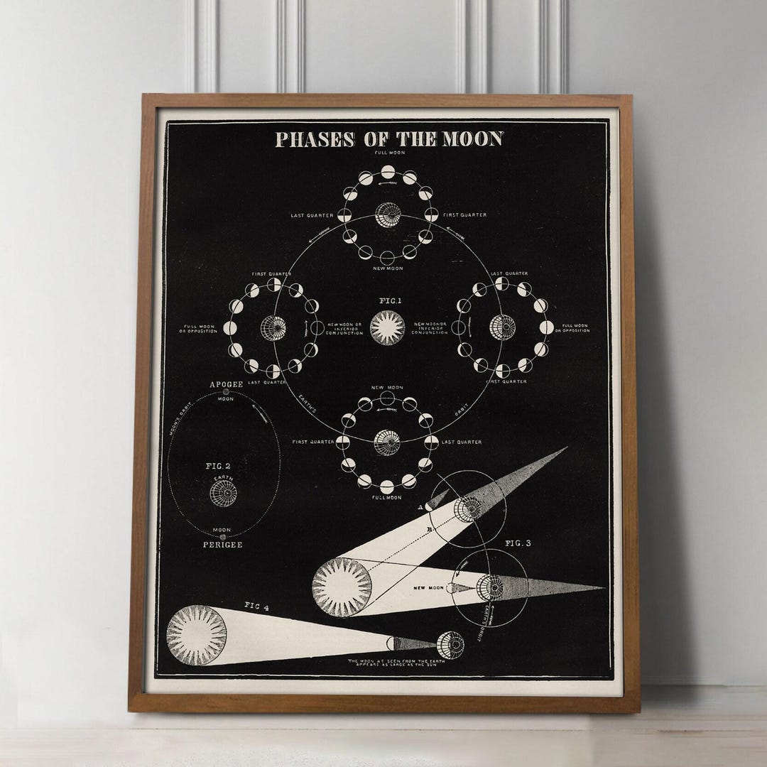 Antique 19th Century Moon Phases Diagram, American Astronomy ...