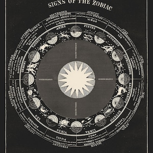 Astrology Art, Zodiac Chart Print, Astrology Signs Print, Astrological Signs, Astrology Chart, Constellations of the Zodiac Antiquarian Art
