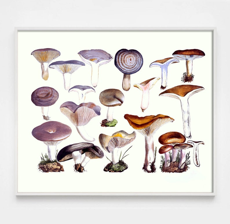 Mushroom Decor, Mushroom Art Print, Kitchen Art, Foodie Art, Farmhouse Funghi, Victorian Mushroom, Cottagecore Decor, Aesthetic room decor image 1