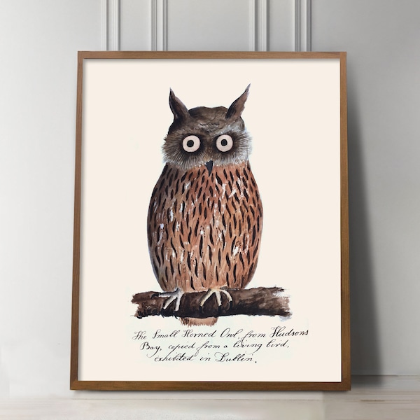 Vintage Owl drawing, Antique Horned Owl painting print, Naturalist Owl Print, Dark Academia Decor, Dark Academia Print, Farmhouse wall decor