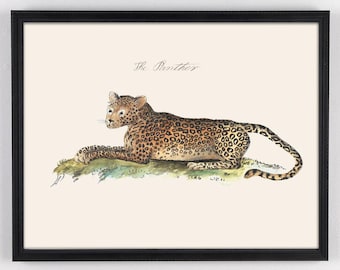 Cheetah Print, Leopard Print, Vintage Tiger Art, Vintage Panther Print for Kids Room Safari Decor, Nursery Wall Art with Jungle Animal