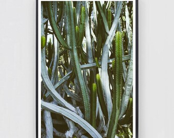 Large Modern Saguaro Cactus Photography Print, Southwest Desert Wall Art, Loft and Home Decor