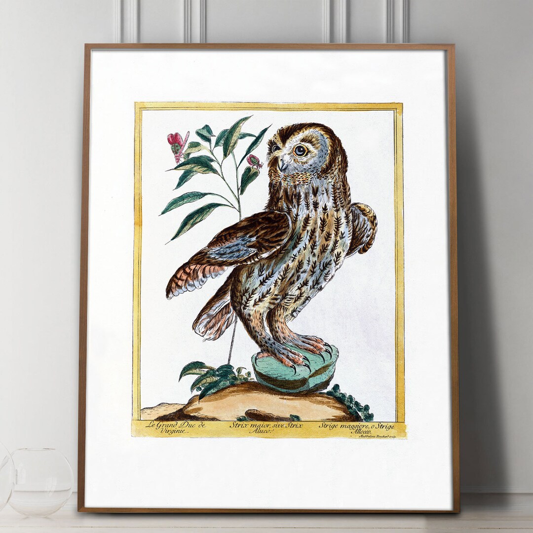 Owl Art Watercolor Print Woodland Cottagecore, Antique Owl Wall Decor ...