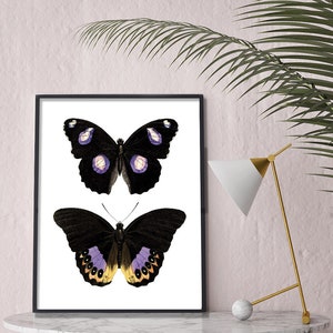 May include: A black and white framed print of two butterflies with purple and yellow accents on a white background. The print is sitting on a white marble table with a gold lamp and a white orb.