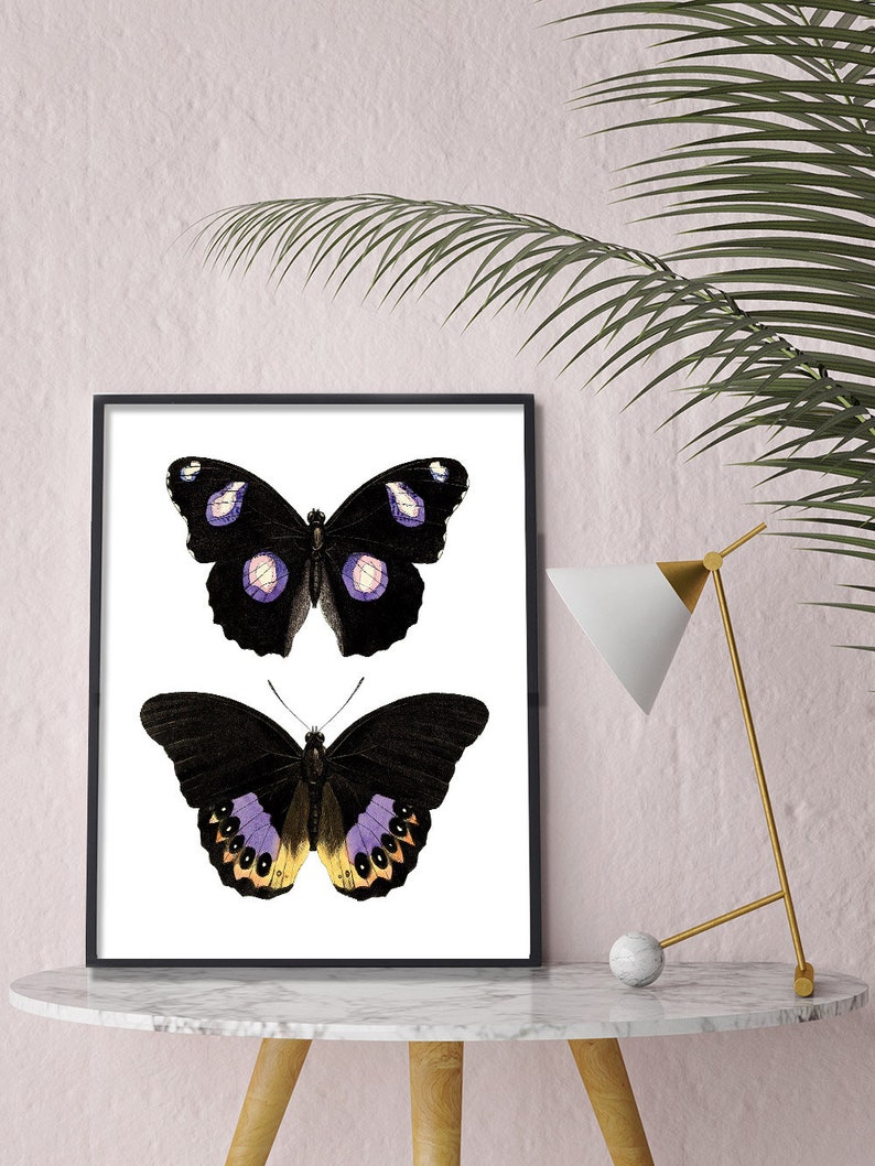 May include: A black and white framed print of two butterflies with purple and yellow accents on a white background. The print is sitting on a white marble table with a gold lamp and a white orb.