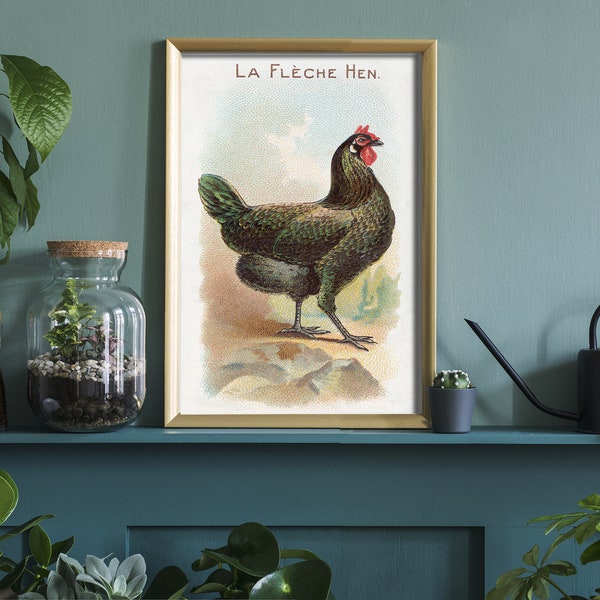 May include: A vintage illustration of a black and green La Flèche Hen, a breed of chicken, in a gold frame. The illustration is on a white background with a light green border.