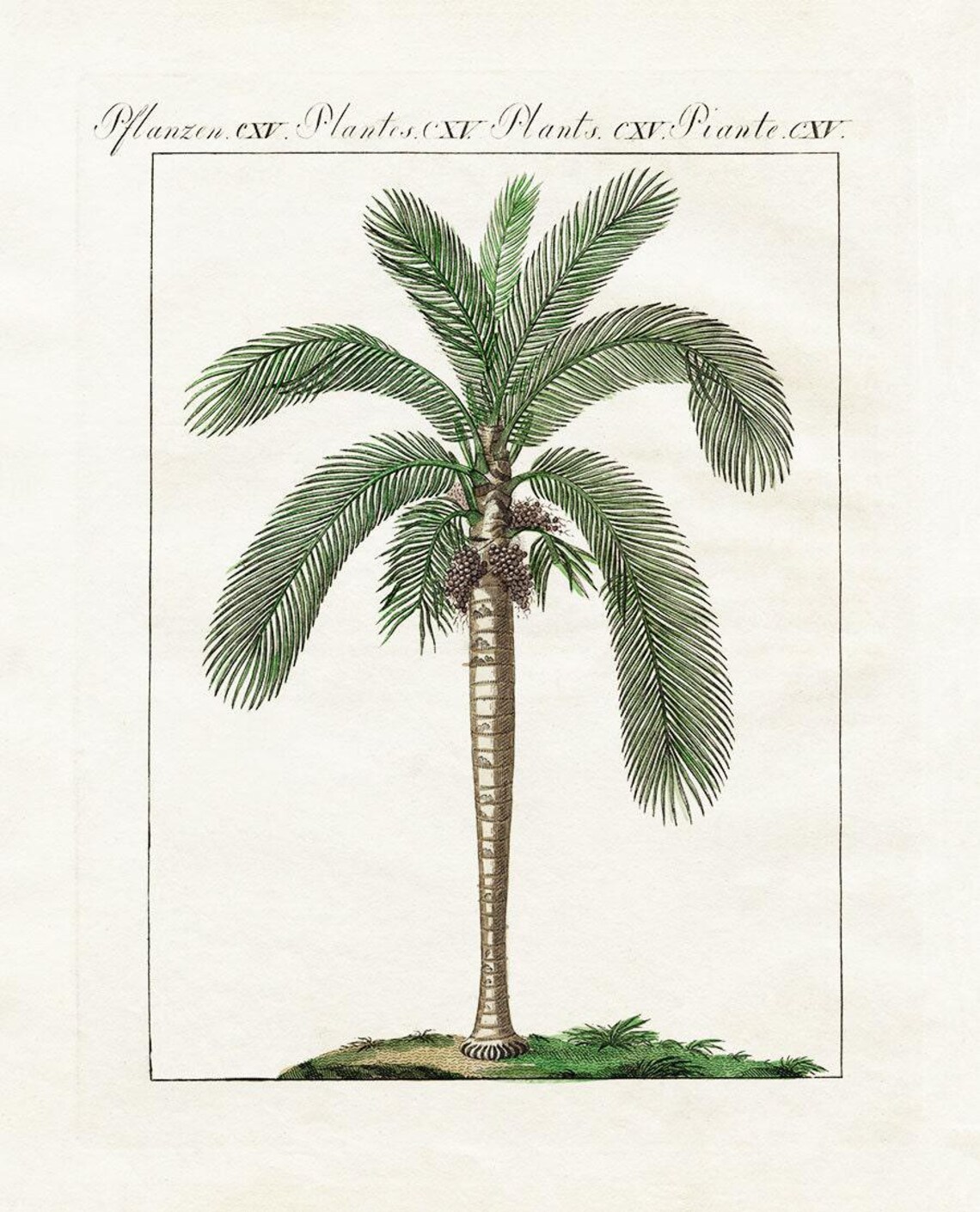 Palm Tree Renaissance Antique Egyptian Revival Date Palm Print 18th Century, Art Deco Style ...