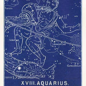 Antique Aquarius Zodiac Art Print, 19th Century Dutch Astrological Sign, Birthday Gift for Aquarius image 3