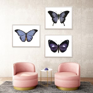 May include: Three framed prints of butterflies, two with purple wings and one with blue wings, are displayed on a wall above two pink armchairs with gold trim.