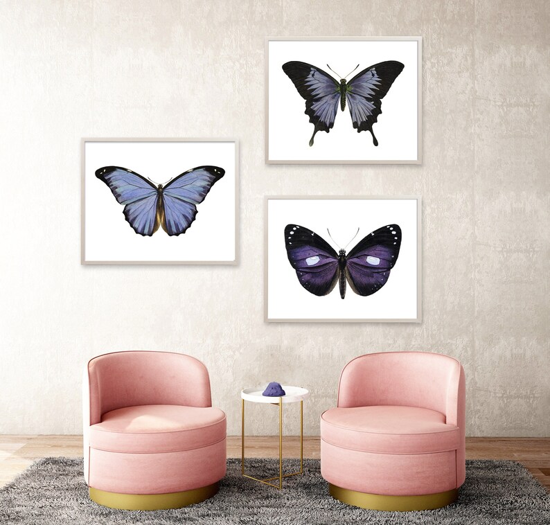 May include: Three framed prints of butterflies, two with purple wings and one with blue wings, are displayed on a wall above two pink armchairs with gold trim.