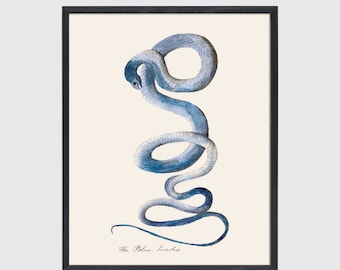 Blue Snake Art Desert Wall Art Southwest Decor, Snake Drawing, Snake Painting Print